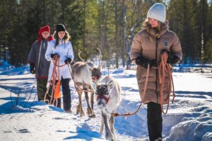 Balade avec des rennes en hiver dans la forêt du Père Noël
