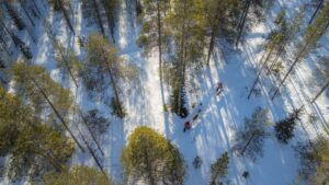 Talvinen porokävely Joulupukin Pajakylän metsässä ilmasta kuvattuna